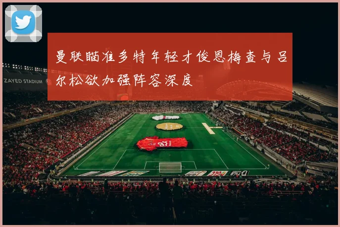 曼联瞄准多特年轻才俊恩梅查与吕尔松欲加强阵容深度